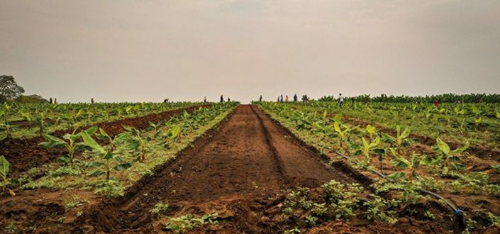 Le projet MAHINE, mené par UNEATLANTICO, initie le développement de patients virtuels pour améliorer l’éducation nutritionnelle en Angola 